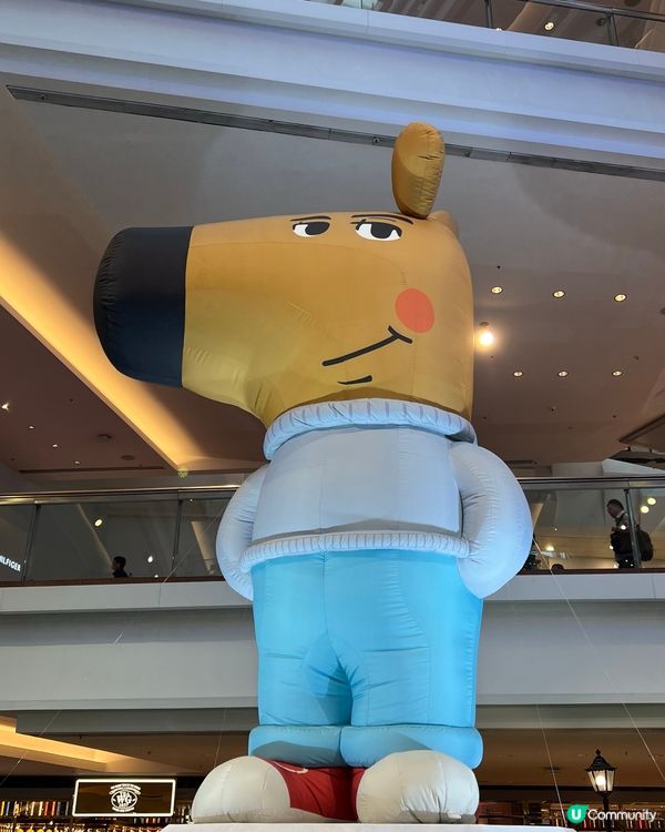 又一城期間限定chill guy pop up store🤩