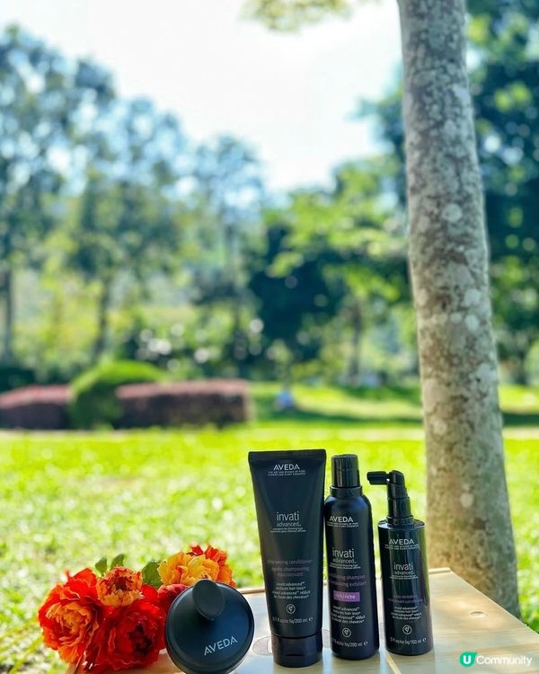 從掉髮到濃密的秘密🤫