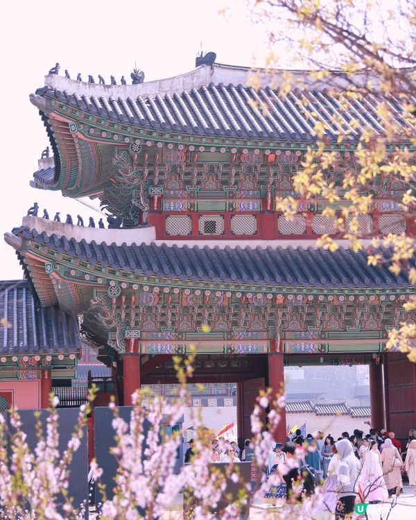 🌸春天的首爾景福宮！韓服拍攝一定要找攝影師！