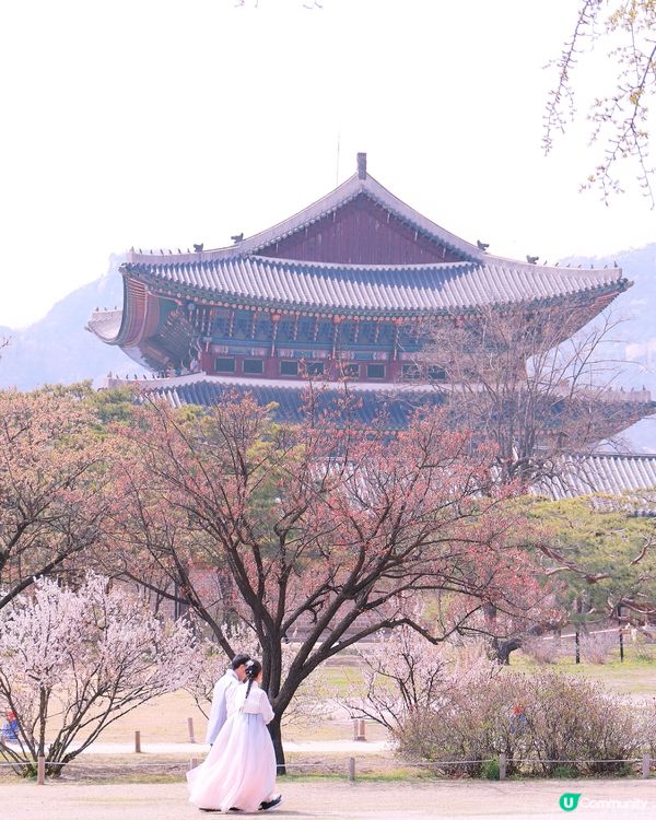 🌸春天的首爾景福宮！韓服拍攝一定要找攝影師！
