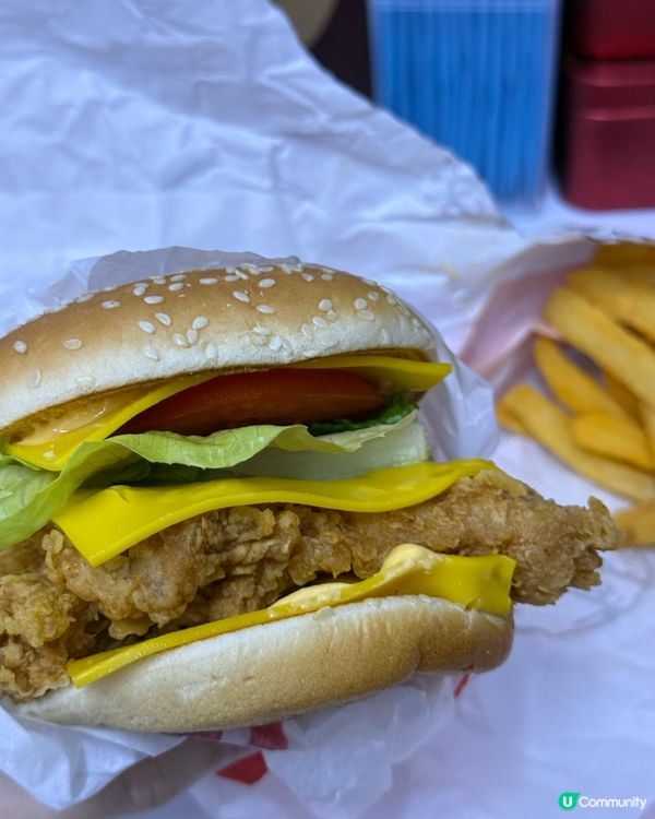 芝芝芝雞腿包，清新唔膩😋