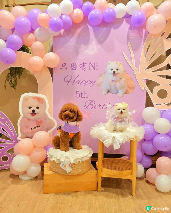 妮妮生日派對🎉🥳