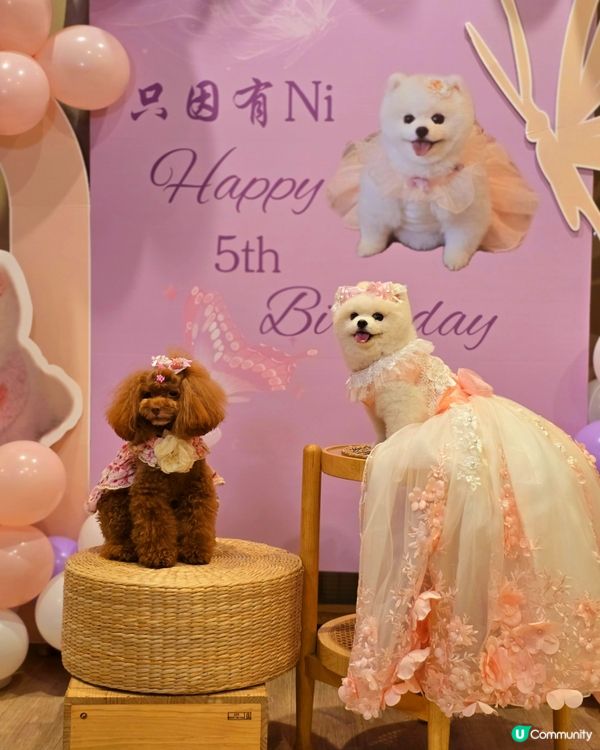 妮妮生日派對🎉🥳