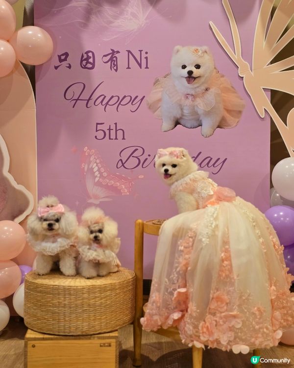 妮妮生日派對🎉🥳