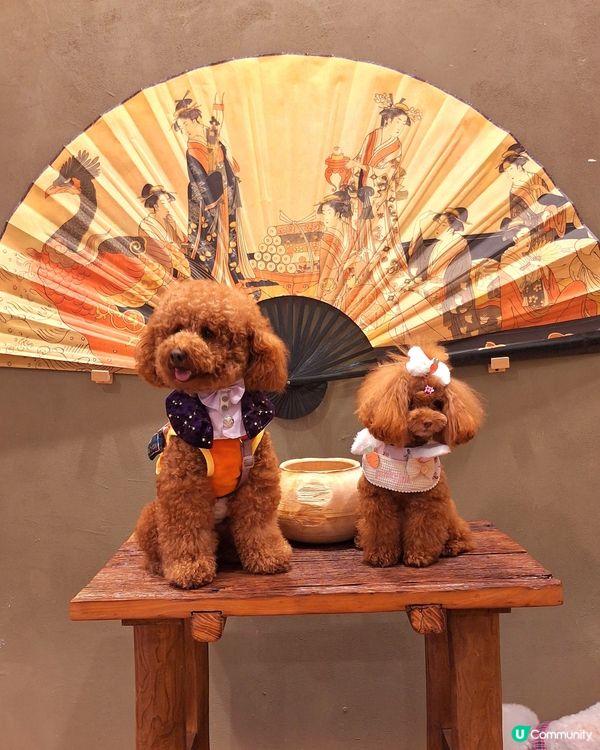 妮妮生日派對🎉🥳