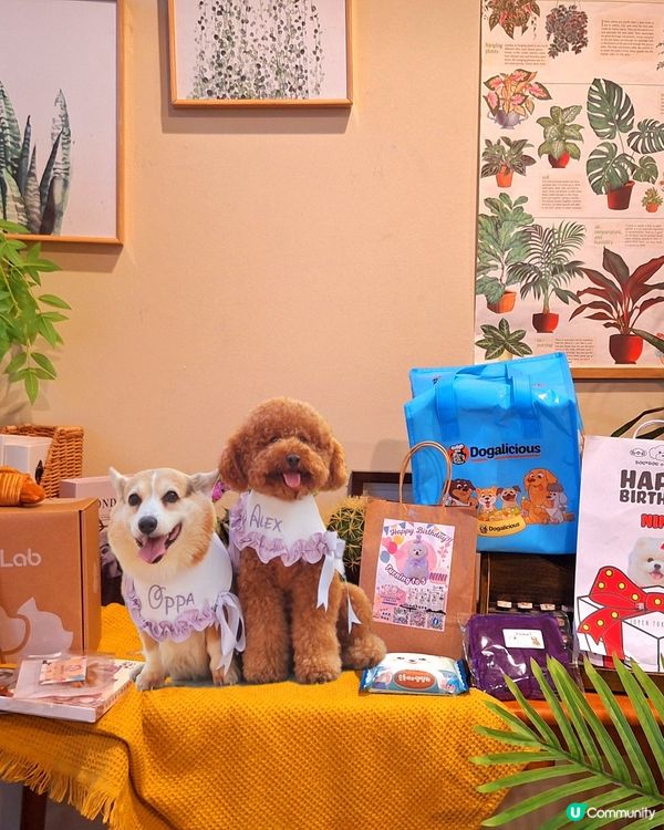 妮妮生日派對🎉🥳