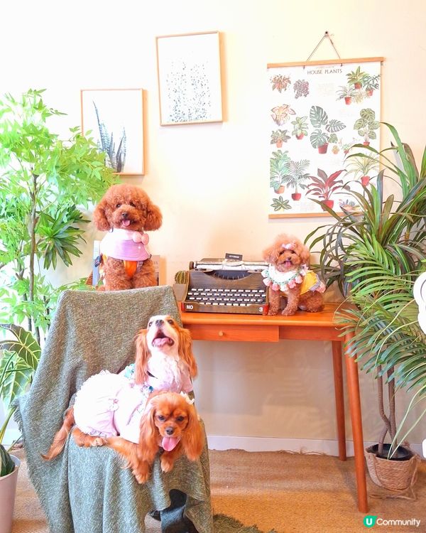 妮妮生日派對🎉🥳