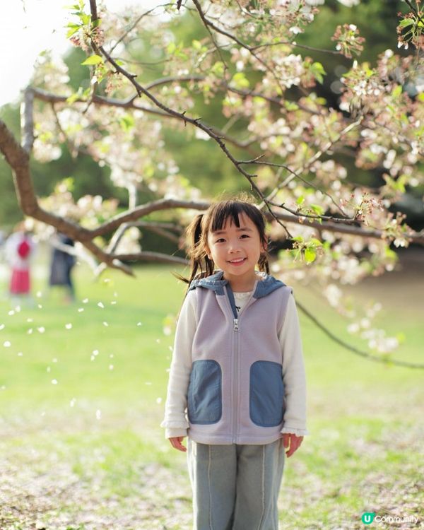 2025富士山+東京近郊 自駕遊｜11日10夜 ｜櫻花紀錄｜附景點