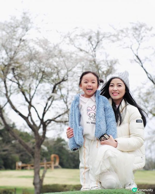 2025富士山+東京近郊 自駕遊｜11日10夜 ｜櫻花紀錄｜附景點