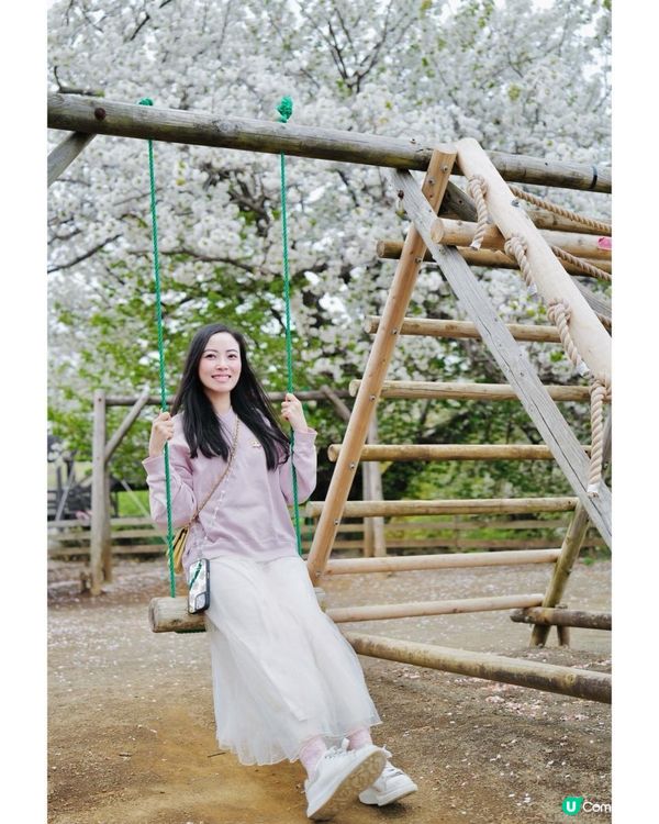 2025富士山+東京近郊 自駕遊｜11日10夜 ｜櫻花紀錄｜附景點