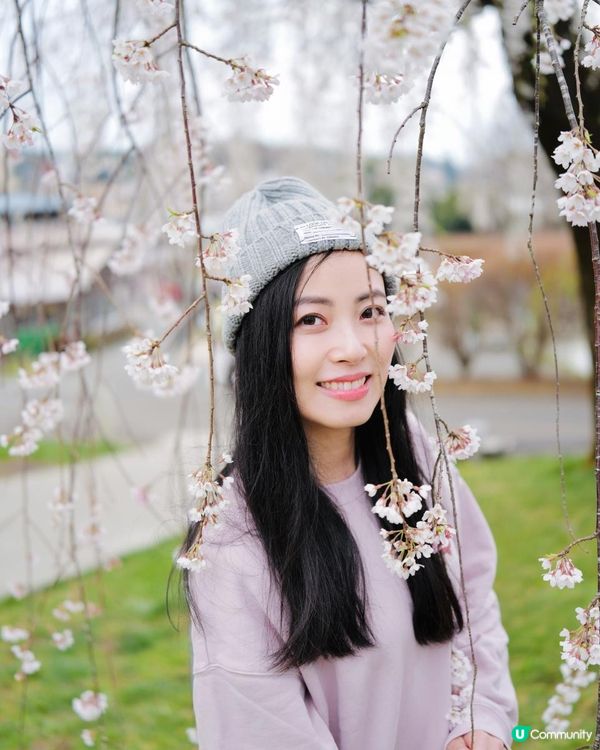 2025富士山+東京近郊 自駕遊｜11日10夜 ｜櫻花紀錄｜附景點