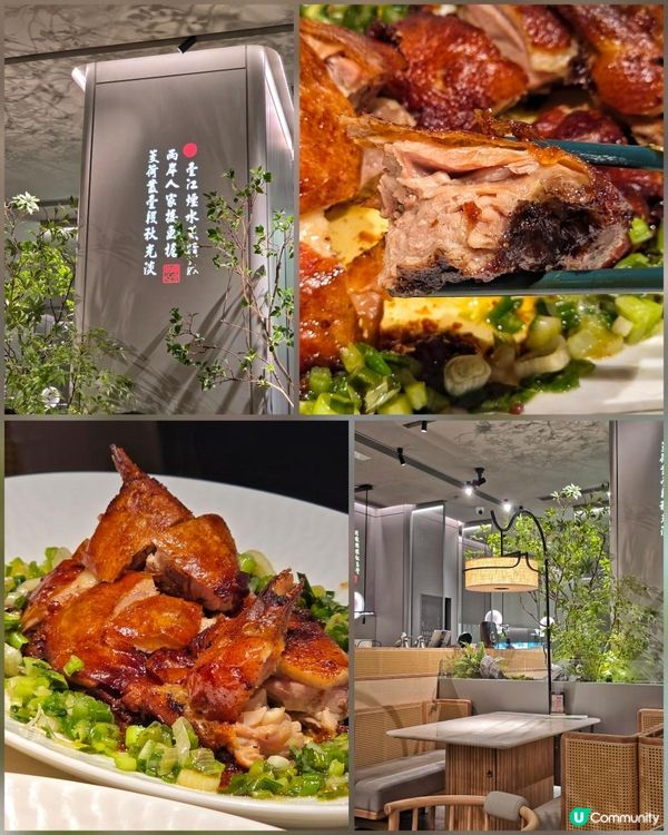 內地人氣綠茶餐廳登陸香港