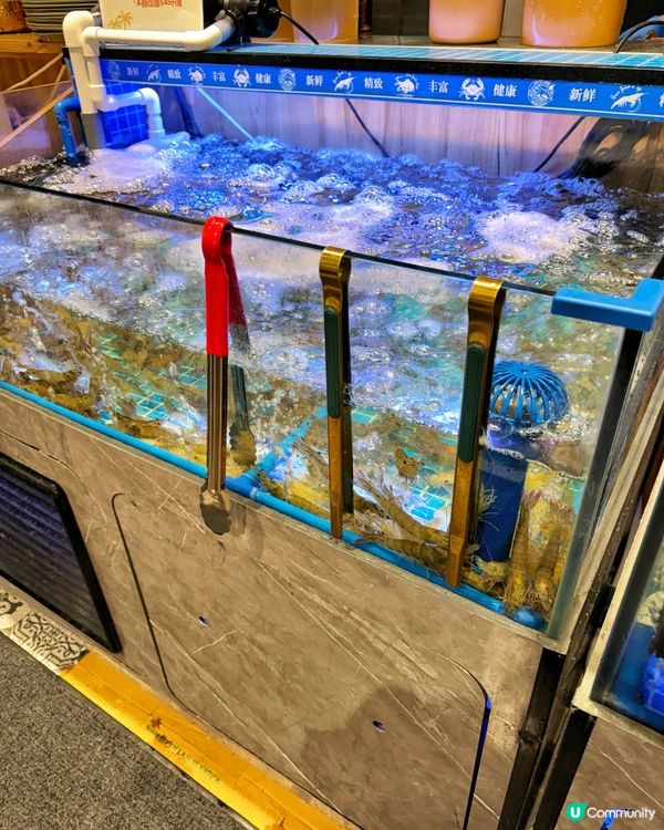 觀塘泰金鍋🔥 食到停唔到！🤤