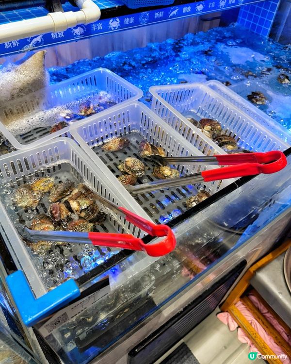 觀塘泰金鍋🔥 食到停唔到！🤤