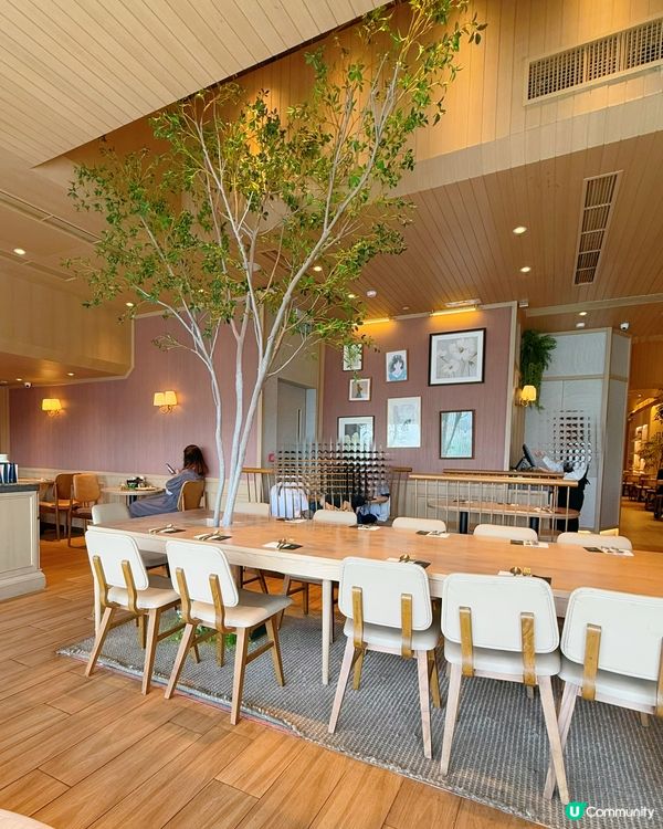 櫻花蛋包飯好靚🌸