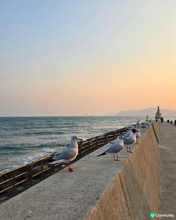 🌊 海雲台夢幻之旅：探索韓國的海洋天堂 🏖️✨