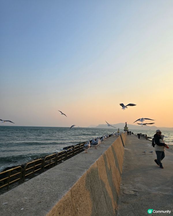 🌊 海雲台夢幻之旅：探索韓國的海洋天堂 🏖️✨