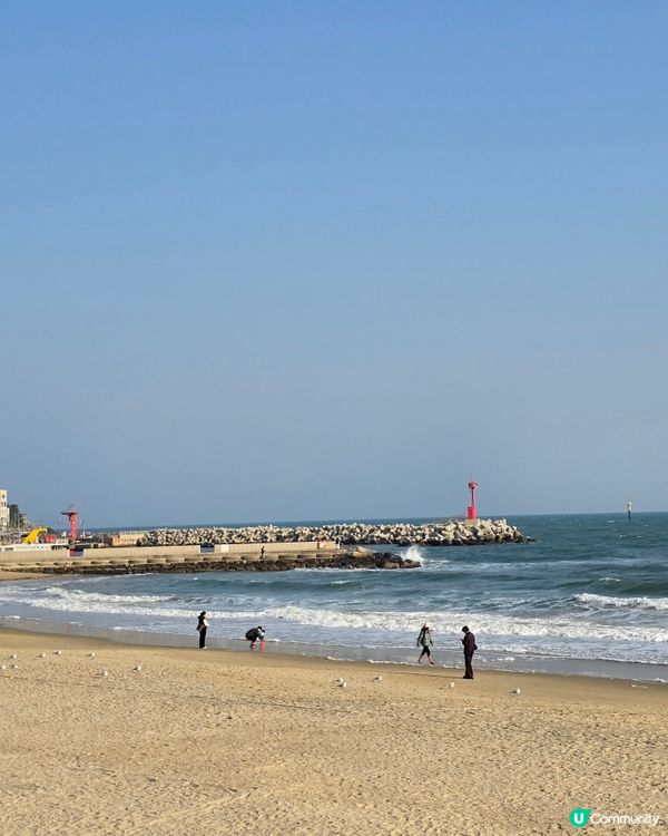 🌊 海雲台夢幻之旅：探索韓國的海洋天堂 🏖️✨