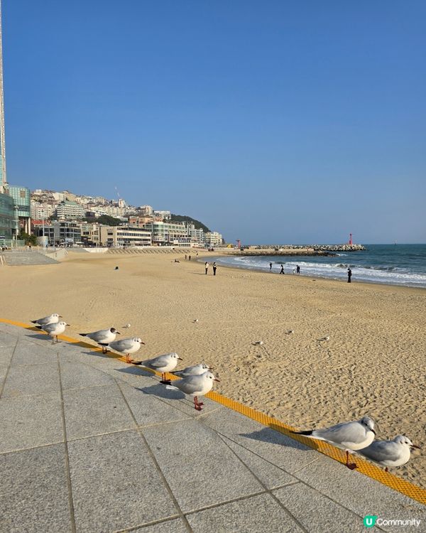 🌊 海雲台夢幻之旅：探索韓國的海洋天堂 🏖️✨