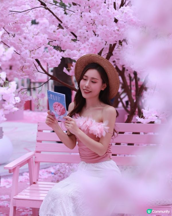 深圳布吉免費櫻花季，打卡絕美