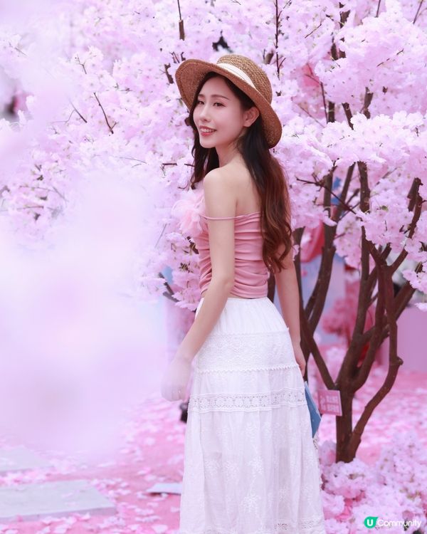 深圳布吉免費櫻花季，打卡絕美