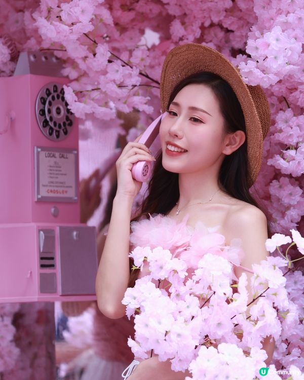 深圳布吉免費櫻花季，打卡絕美