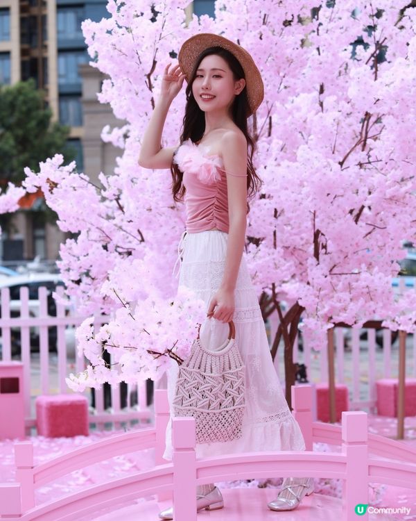 深圳布吉免費櫻花季，打卡絕美