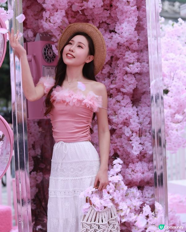 深圳布吉免費櫻花季，打卡絕美