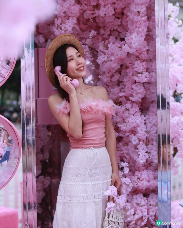 深圳布吉免費櫻花季，打卡絕美