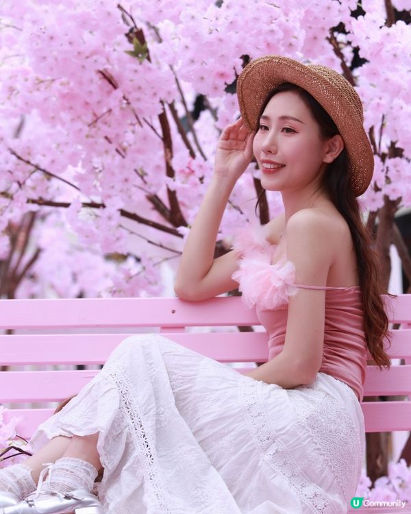 深圳布吉免費櫻花季，打卡絕美