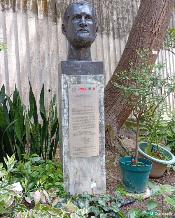 香港歷史建築之旅 🏛️  
中上環古蹟活化，等大家去探索！