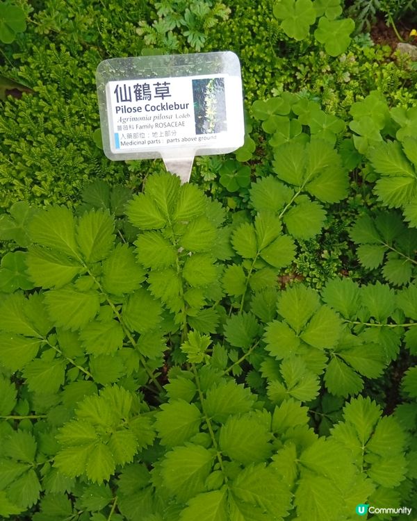 香港歷史建築之旅 🏛️  
中上環古蹟活化，等大家去探索！