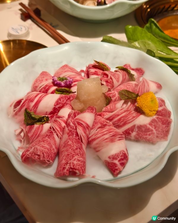 鯉景灣新開火鍋放題店