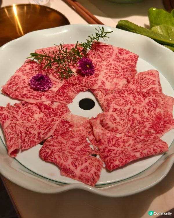 鯉景灣新開火鍋放題店