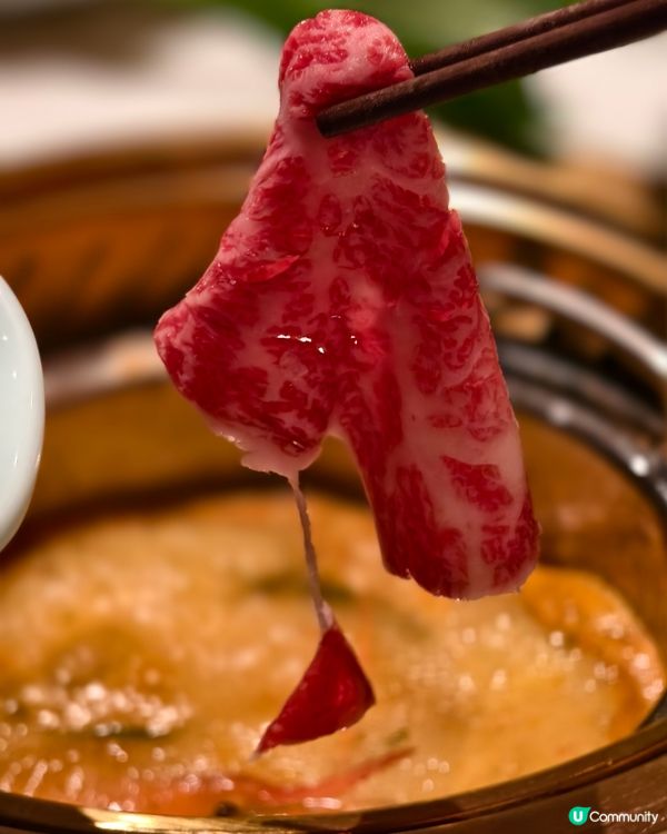 鯉景灣新開火鍋放題店