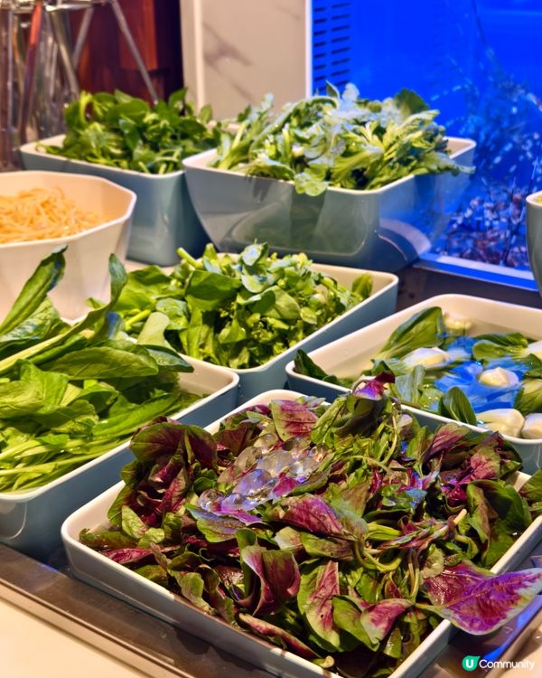 鯉景灣新開火鍋放題店