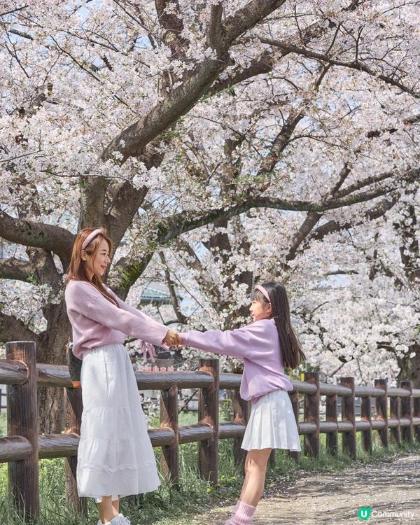 影相tips 📸 與女女6 個影相pose 🌸日本櫻花之女