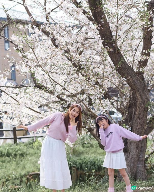 影相tips 📸 與女女6 個影相pose 🌸日本櫻花之女