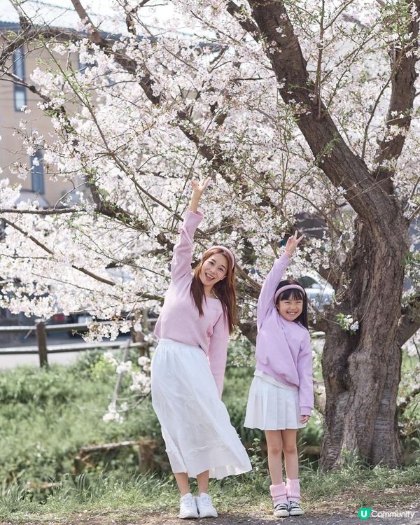 影相tips 📸 與女女6 個影相pose 🌸日本櫻花之女