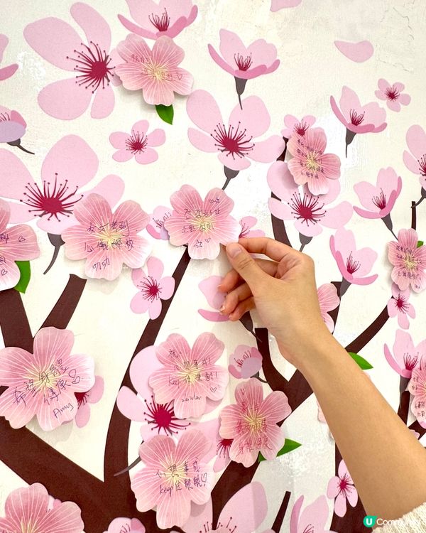 偽日本之旅💕櫻花系列優惠🌸