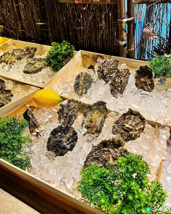 ʚ♡ 超值自助餐 • 款式多極豐盛 ♡ɞ