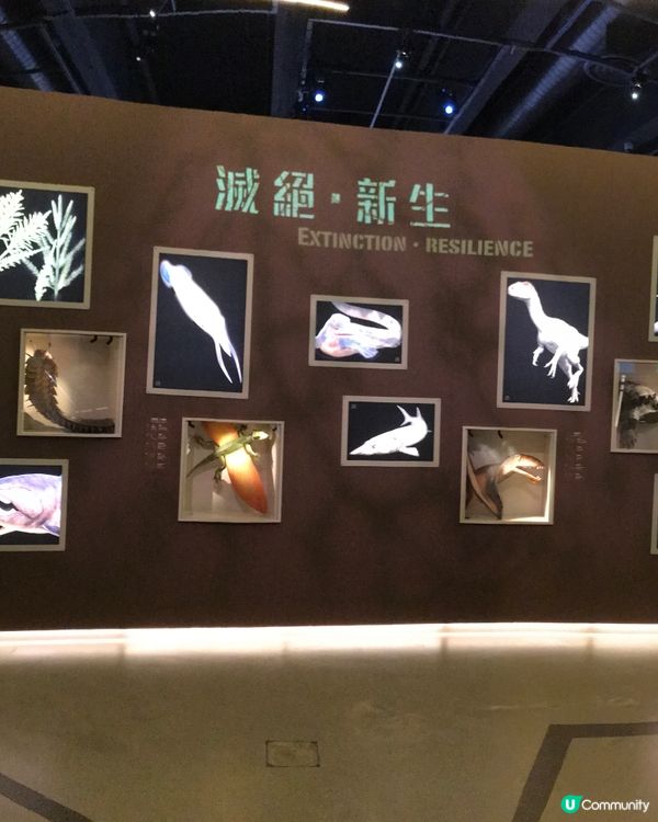 香港科學館：科學節2025