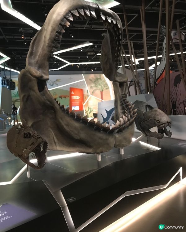 香港科學館：科學節2025