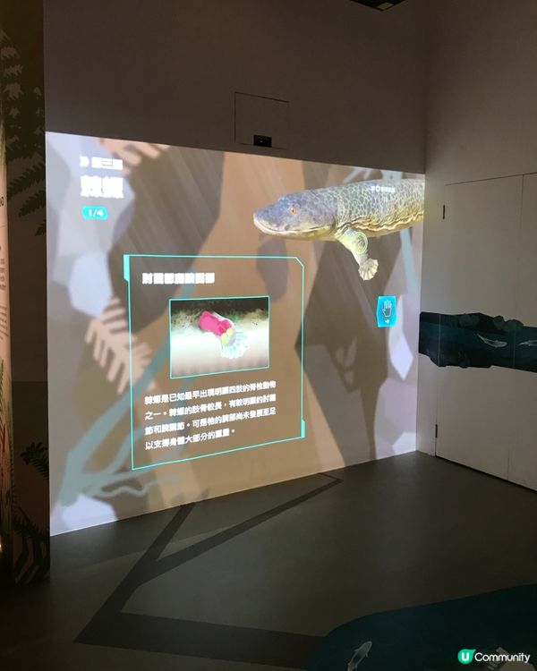 香港科學館：科學節2025