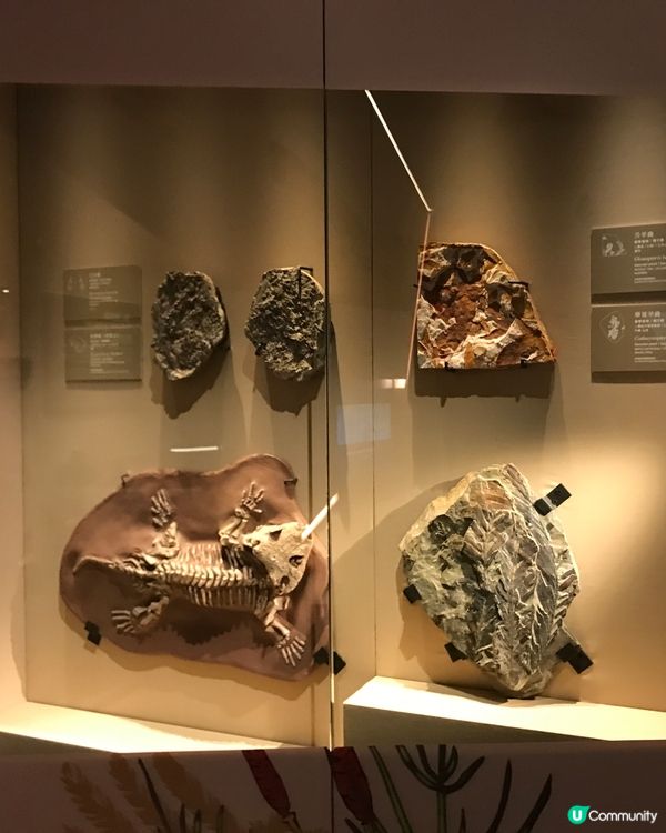 香港科學館：科學節2025