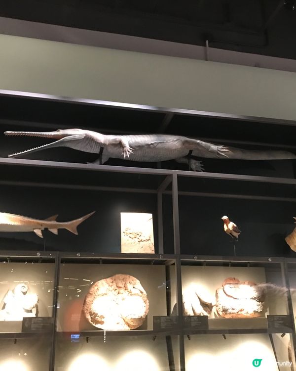 香港科學館：科學節2025