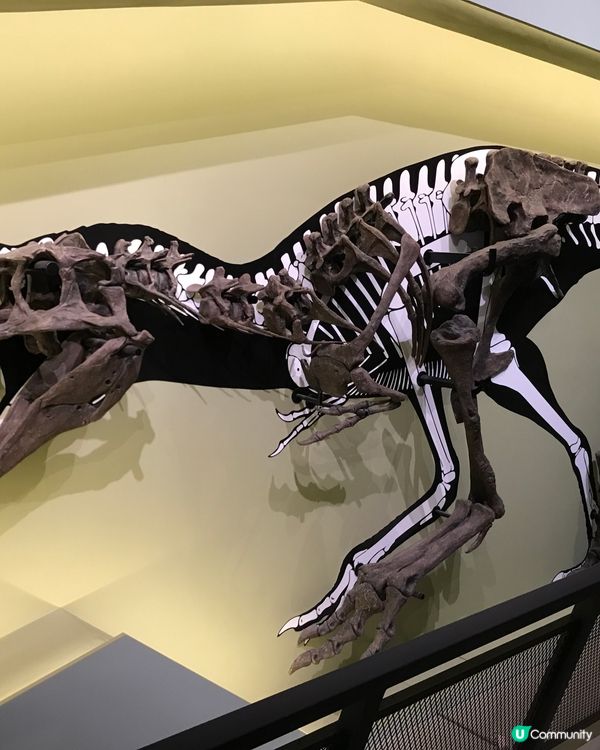 香港科學館：科學節2025