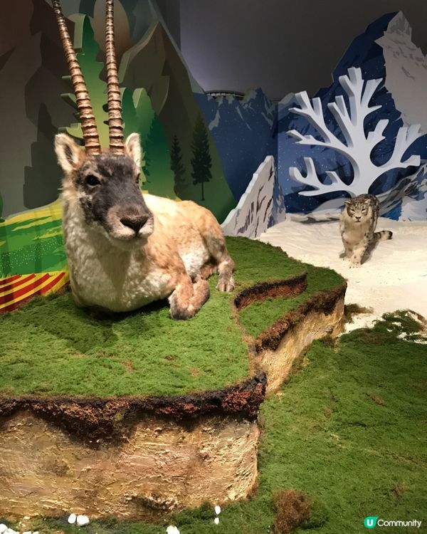 香港科學館：科學節2025