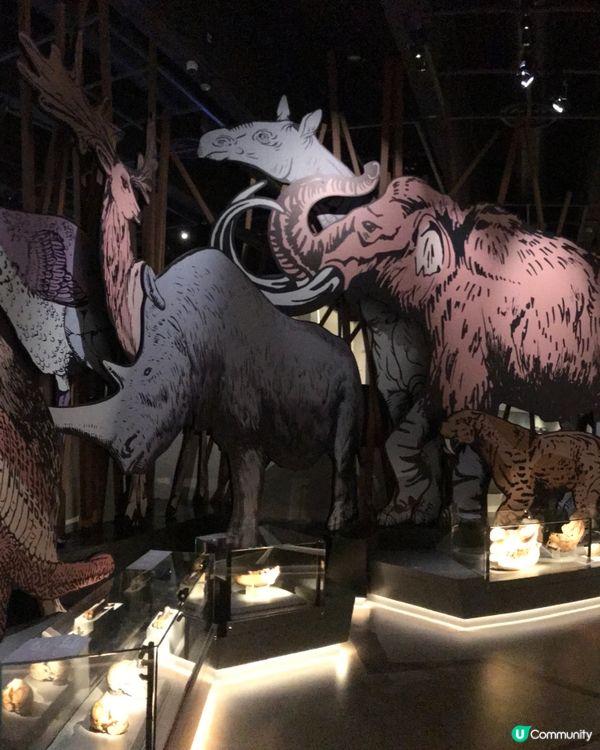 香港科學館：科學節2025