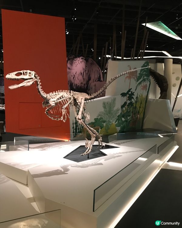 香港科學館：科學節2025